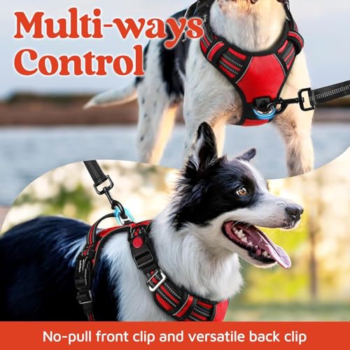 Doggo Bite Premium Reflective Dog Vest Harness| Soft Breathable| Padded Handle| Adjustable Straps & Luxury Buckle| No-Choke with Free Designer Leash-19mm| Chest (22-28inch) All Small Breeds 4-13Kg - Image 3