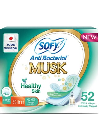 Anti Bacterial Sanitary Pads With Musk Large 52 Pieces - pzsku/Z1B92EA62C57F981DC9F7Z/45/_/1707741715/94f52b6c-df91-42ff-b8ff-c54265fdc7e3