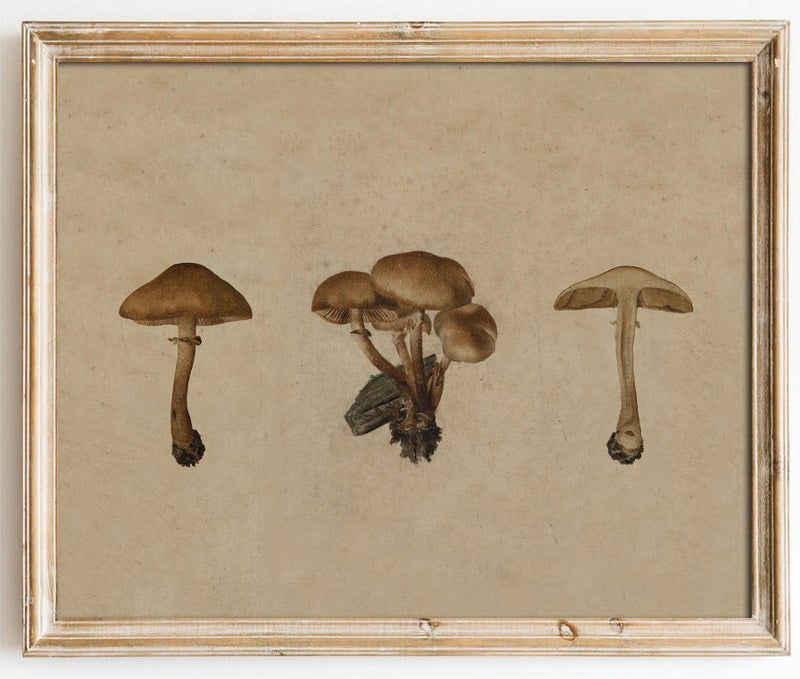 Kizbok Vintage Mushroom Wall Art Poster, Farmhouse Mushroom Wall Decor, Retro Botanical Paintings Cottagecore Room Decor Aesthetic, Neutral Earthy mushroom Picture for Kitchen Bedroom Gallery Nursery Home decor(8" x 10"-UNFRAMED) - Image 1