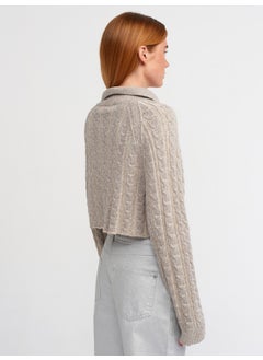 Dilvin 60203 Polo Collar Buttoned Glittery Crop Knitwear Cardigan-Beige-Silver  - Image 2