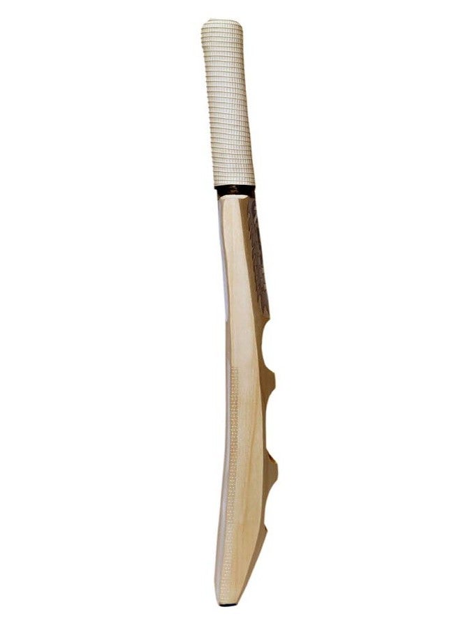 Klapp Test Popular Willow Handle Cricket Bat, Size 7 , wood (Off-White, Round) - Image 4
