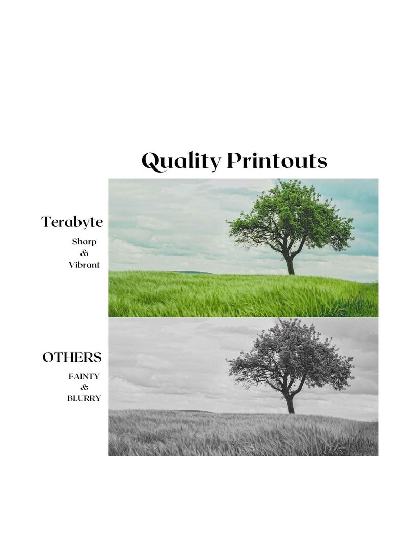 Terabyte TONER CARTRIDGE TN650 BLACK - Image 4