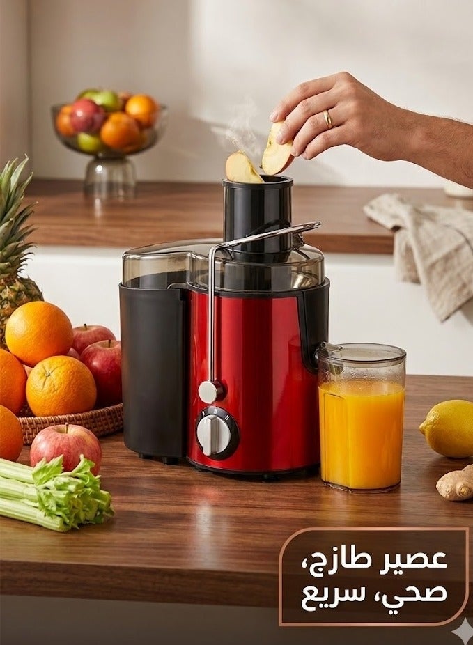 Dinex DENX DX2071 Electric Fruit Juicer, 800W, 500ml capacity for preparing various juices - Image 1