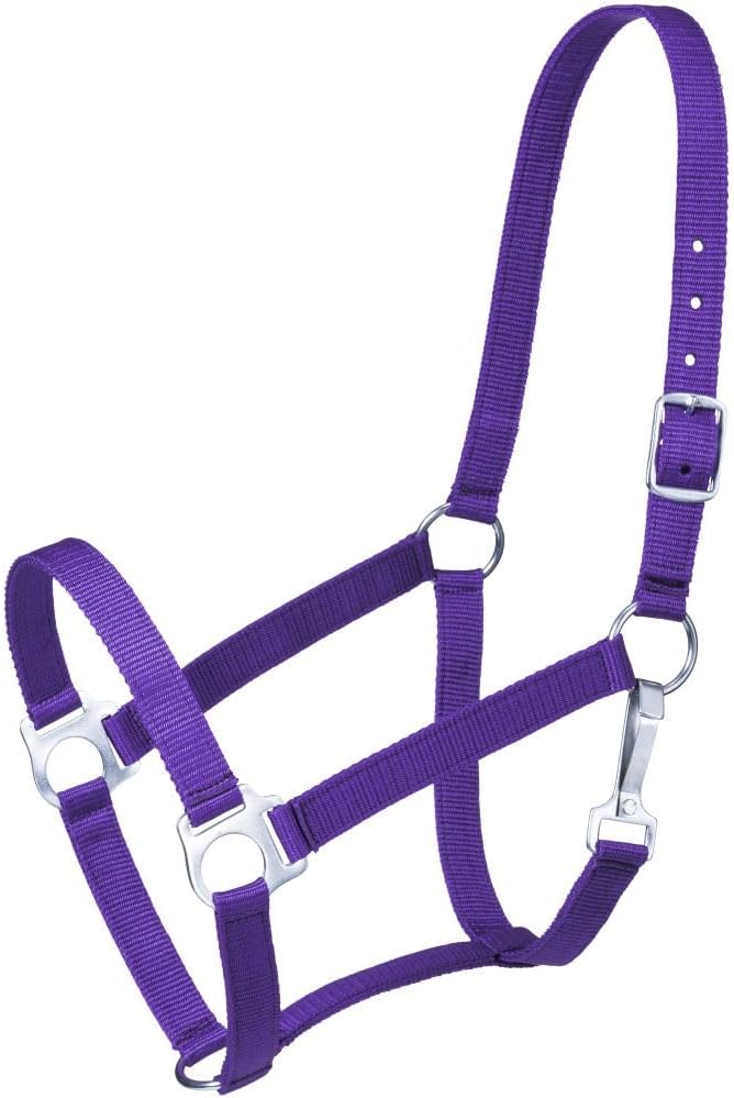 Tough 1 Economy Halter - Strong Nylon with Brass Plated Hardware, Purple