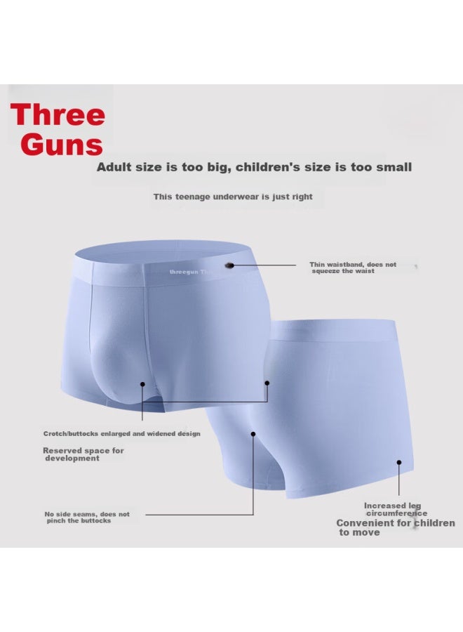 Threegun Mulberry Silk Antibacterial Innerwear For Boys In Adolescence, 50 Modal Large Size Teenage Underwear 3-pack - Image 2