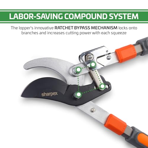 Sharpex Premium Heavy-Duty Carbon Steel Blade Ratchet Bypass Lopper | Adjustable Telescopic Aluminium Handles for Effortless Cutting of Branches Up to 2 Inches (Bright Orange) - Image 2
