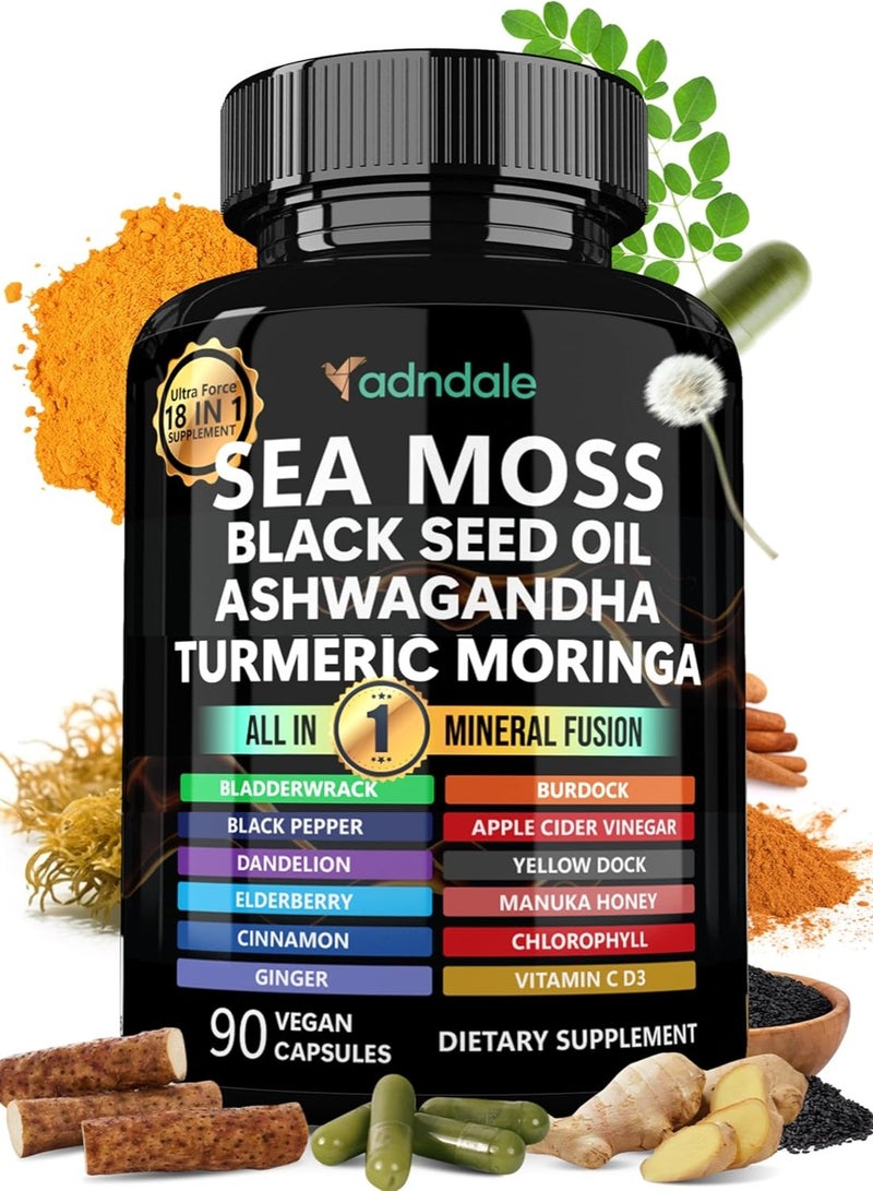 متجر أدندال كبسولات أشواغاندا الزنجبيل بزيت طحالب البحر مع زيت بذور الطحالب السوداء كبسولات طحالب البحر مع زيت البذور السوداء وأشواغاندا والكركم والمورينغا والمثانة وجذر الأرقطيون وعسل مانوكا والقرفة. - Image 1