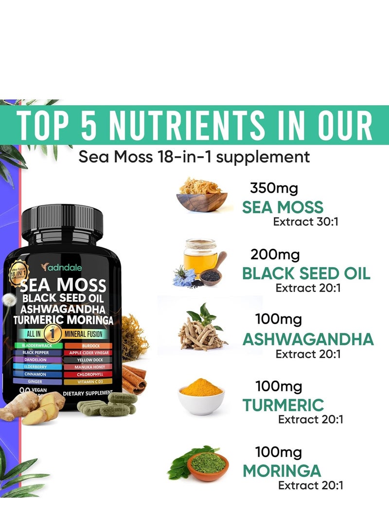 متجر أدندال كبسولات أشواغاندا الزنجبيل بزيت طحالب البحر مع زيت بذور الطحالب السوداء كبسولات طحالب البحر مع زيت البذور السوداء وأشواغاندا والكركم والمورينغا والمثانة وجذر الأرقطيون وعسل مانوكا والقرفة. - Image 3