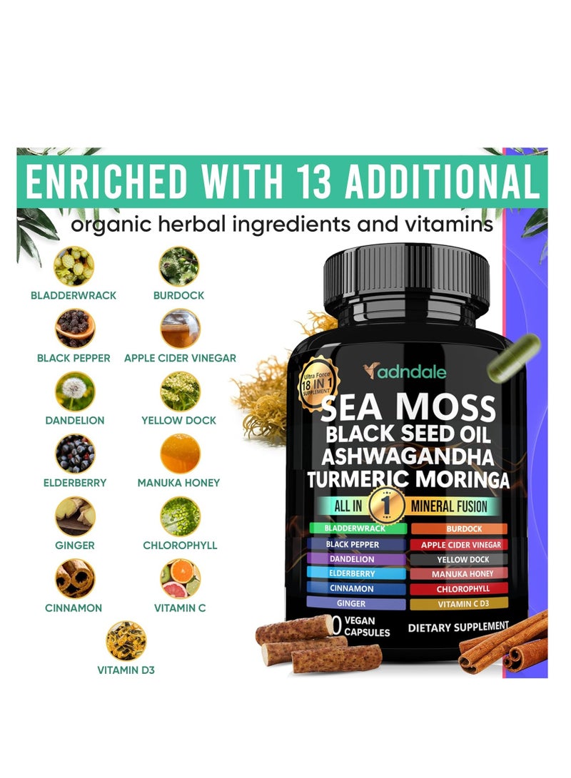 متجر أدندال كبسولات أشواغاندا الزنجبيل بزيت طحالب البحر مع زيت بذور الطحالب السوداء كبسولات طحالب البحر مع زيت البذور السوداء وأشواغاندا والكركم والمورينغا والمثانة وجذر الأرقطيون وعسل مانوكا والقرفة. - Image 4