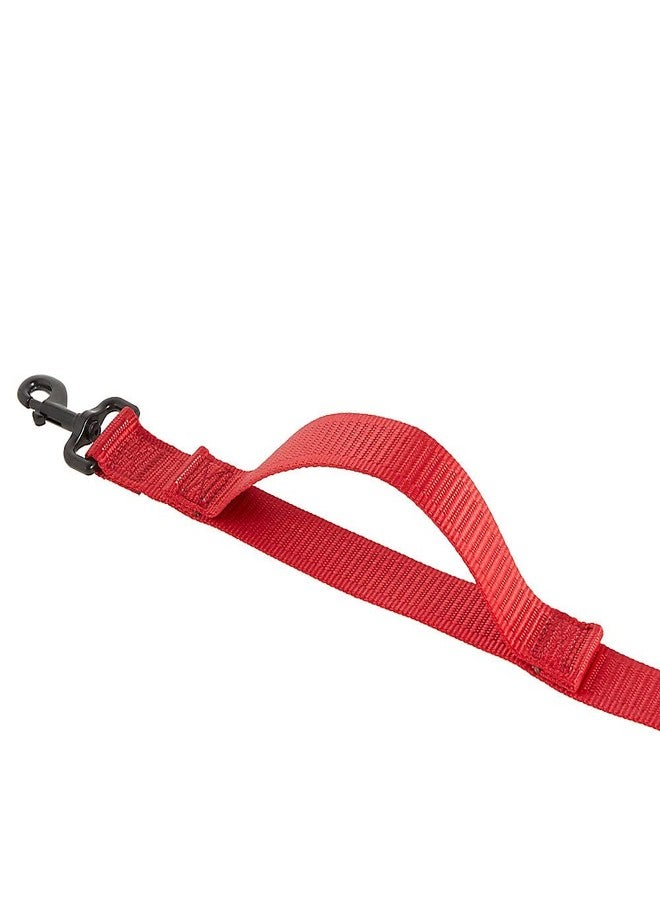 كونج مقبض KONG Max HD للتحكم المروري فائق المتانة وسريع التحكم بطول 6 أقدام (أحمر) - Image 2