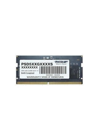 ذاكرة الوصول العشوائي 16 جيجابايت DDR5 5600 ميجاهرتز ذاكرة الكمبيوتر المحمول PSD516G560081S - pzsku/Z1B9A1F769E2C2BC2D91AZ/45/_/1739971123/842c7f8c-2bd4-4f83-bd96-3e322fef4f5d