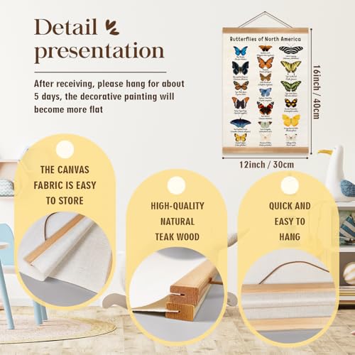ZTGDA Vintage Butterfly Poster, North American Butterfly Wall Decor,Educational Linen Wall Art with Wood Frame, Nature Learning Hanging Banner for Homeschool, Classroom, Nursery, or Playroom Decor,12x16inch - Image 2