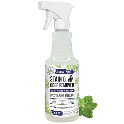 Mighty Mint Stain & Odor Remover, Natural Enzyme Spray Safely Neutralizes Odor and Stains from Dogs, Cats on Carpet, Furniture, Natural Peppermint Scent, 16oz - Image 1