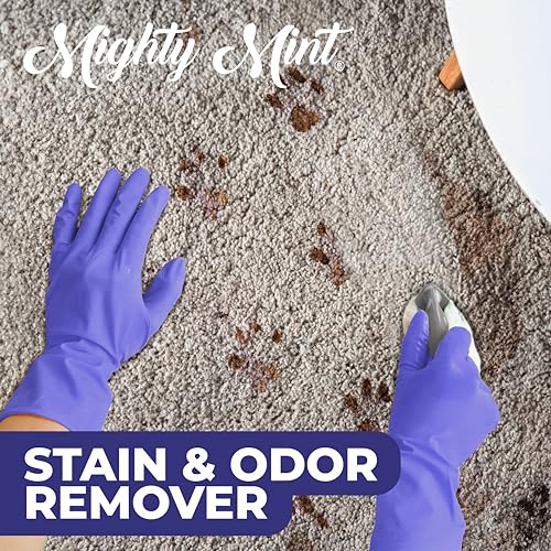 Mighty Mint Stain & Odor Remover, Natural Enzyme Spray Safely Neutralizes Odor and Stains from Dogs, Cats on Carpet, Furniture, Natural Peppermint Scent, 16oz - Image 4