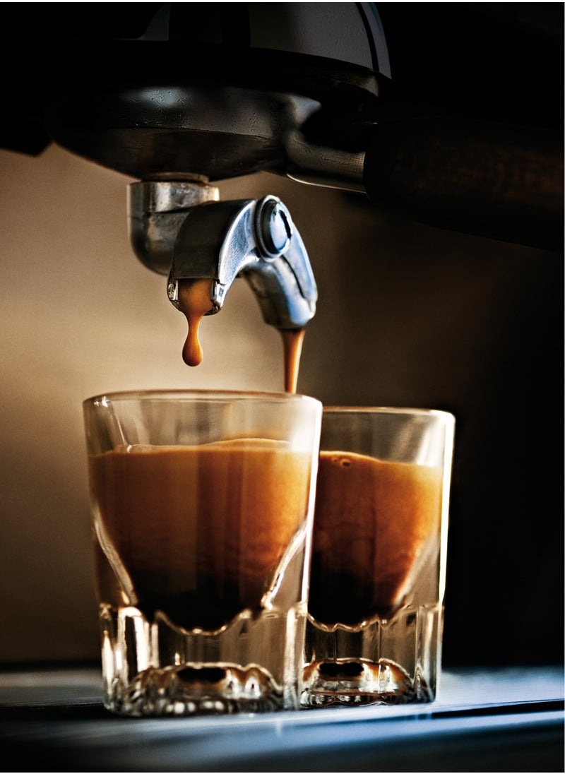 Zavida - Hazelnut Vanilla Premium Whole Bean Medium Roasted Coffee 907g Espresso Cappuccino - Image 1