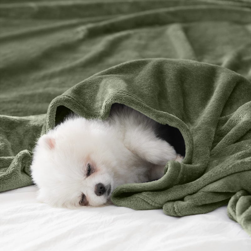 BEAUTEX Fleece Throw Size Blanket for Couch Sofa or Bed, Soft Fuzzy Plush Luxury Flannel Lap Blanket, Super Cozy and Comfy for All Seasons (Olive Green, 50" x 60") - Image 2