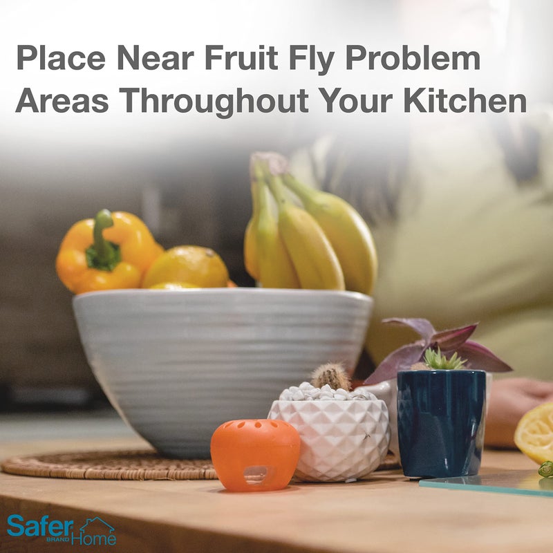 Safer Brand Home SH500 Indoor Fruit Fly Trap – Ready-to-Use, Non-Staining, No synthetic Insecticides - Image 5