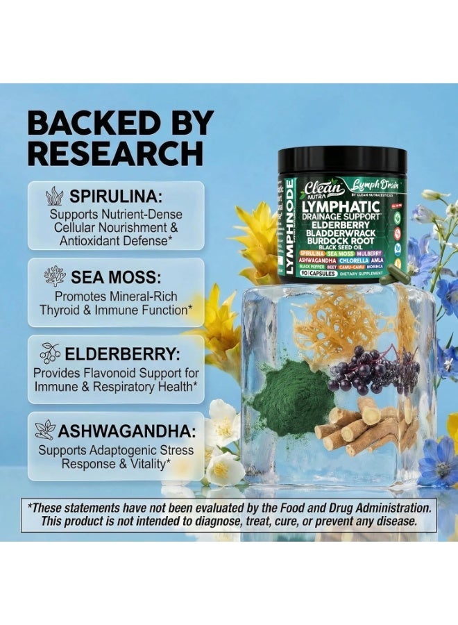 Clean Nutra Organic Lymphatic Drainage Supplements | Elderberry Bladderwrack Burdock Root Black Seed Oil Spirulina Sea Moss Ashwagandha Chlorella Amla Beet Moringa Chlorophyll Lymph System Capsules By Clean Nutra - Image 5