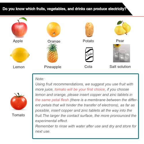 EUDAX Fruit Battery Science Experiment Kit with Electronic Clock and RGB LED for DIY Home Teaching Equipment School Science Project Education Subject - Image 5