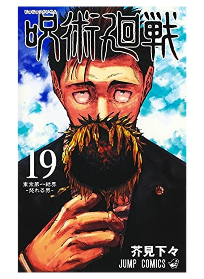 Jujutsu Kaisen 19 