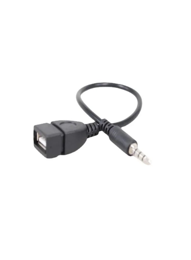 محول منفذ USB الأم للسيارة 3.5 إلى خط Aux 3.5 كابل صوت OTG للسيارة مع وصلة USB الأم وقرص U - اللون: عبوة عصابة رأس مسطحة - Image 2