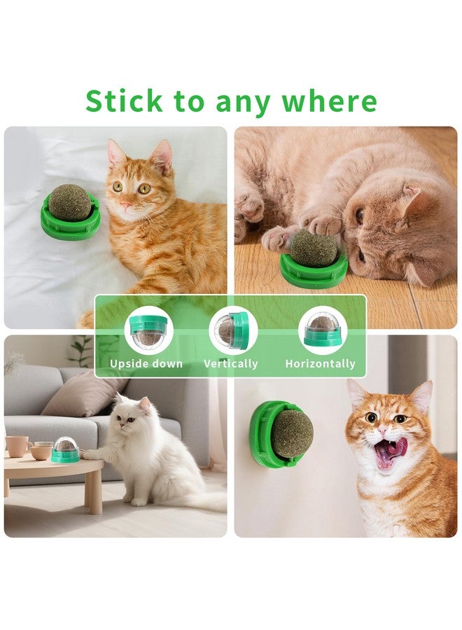 Catnip Toys Balls 4 Pcs, Cat Energy Ball, Cat Toys for Indoor Cats, Healthy Kitty Teeth Cleaning Dental Chew Toys - Image 5