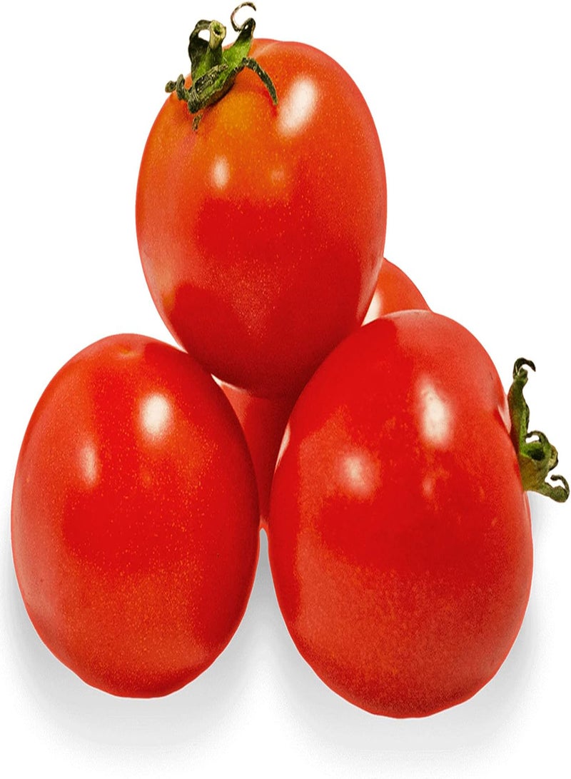 جي جوت 16 نوعًا من الخضروات العضوية، كرنفال الخضروات، مجموعة بذور الخضروات، طبيعية تمامًا، يمكنها تزيين الحديقة وحصاد الخضروات العضوية التي تحتاجها الأسرة - جزء واحد - Image 1