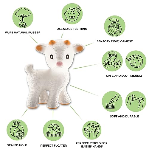 CaaOcho Pure Natural Rubber Teething Baby Toy - Sola The Goat Teether for Babies, BPA Free Baby Toy, All Natural Teething Toys for Babies 0-6, Safe and Fun Molar Teether Toy - Image 3
