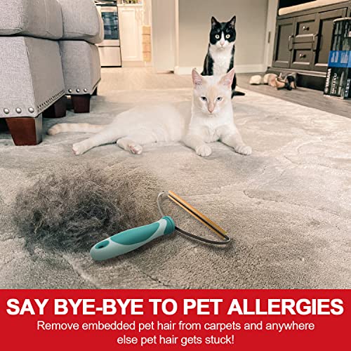 ELEMSY Dog Cat Hair Remover for Deep Cleaning, Lint Cleaner Pro, Pet Fur Removal Tool, Portable Carpet Scraper Rake, Fuzz Hairball Shaver Brush for Carpet, Car Mat, Couch, Pet Bed, Furniture, Rug - Image 2