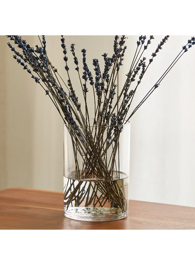 Home Box Atlanta cylindrical clear glass vase - 12.5x17.5 cm