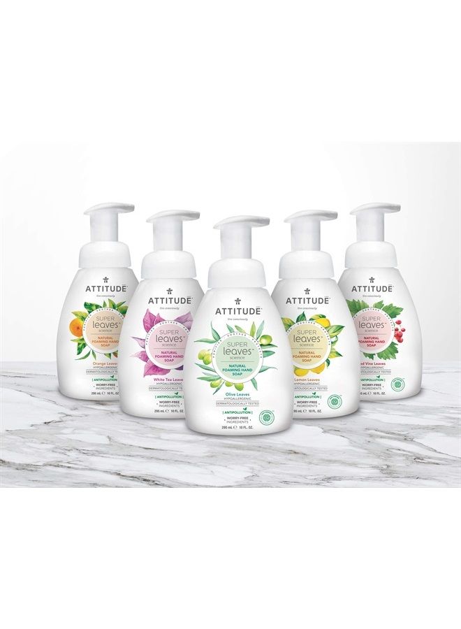 Attitude Foaming Hand Soap, Plant and Mineral-Based Ingredients, Vegan and Cruelty-free Personal Care Products, Orange Leaves, 10 Fl Oz - Image 2