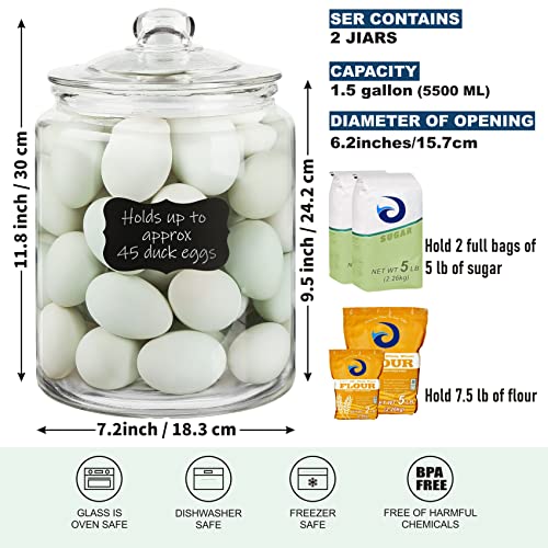 Daitouge 1.5 Gallon Glass Canister, 2 Pack Cookie Jar & Candy Jar with Airtight Lid, Heavy Duty Glass Canisters for Kitchen, Suitable for Flour, Sugar, Rice, Pasta, Beans, Laundry Room Storage - Image 3