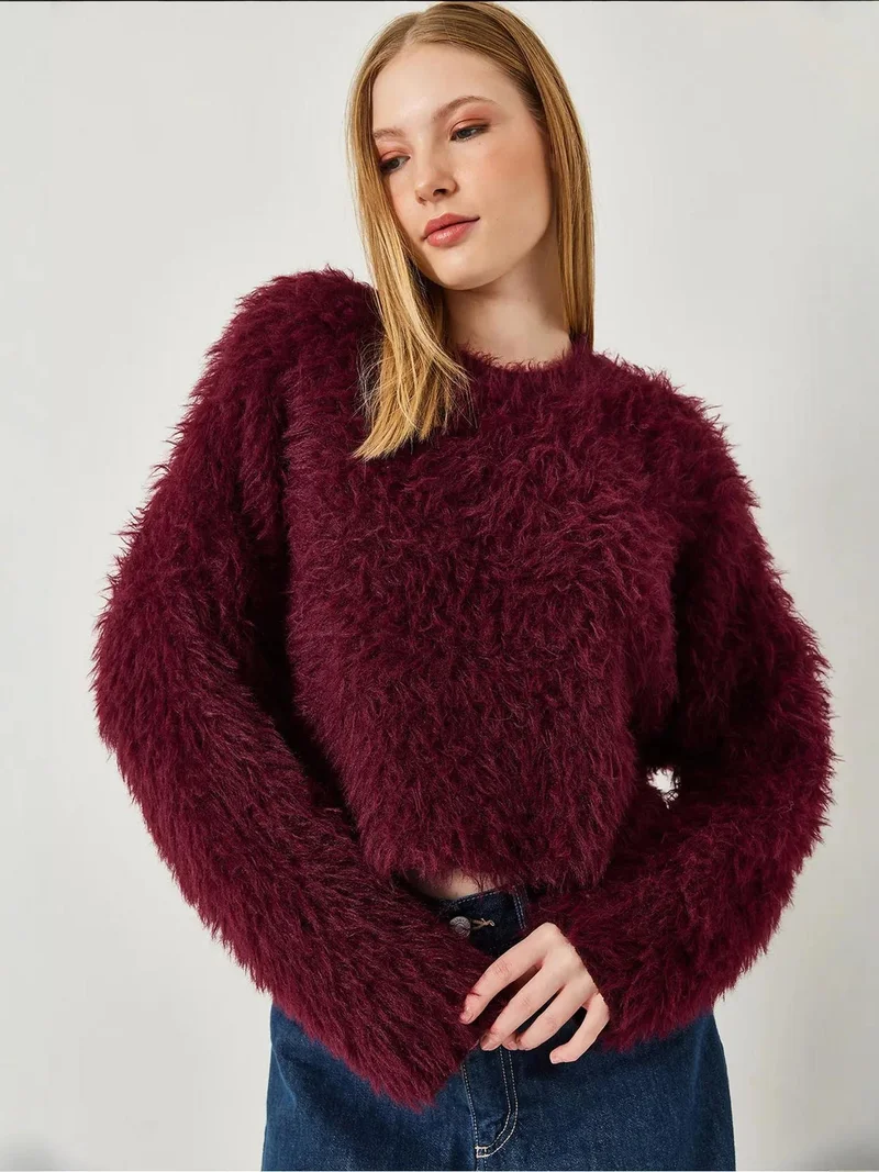 Bianco Lucci LUCCI Textured Crew Neck Crop Sweater with Plush Detail