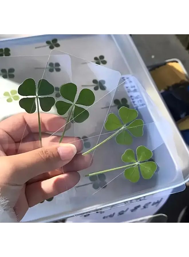 بطاقة تحية شفافة "البرسيم رباعي الأوراق المحظوظ" مع ساق برسيم حقيقي - Image 2