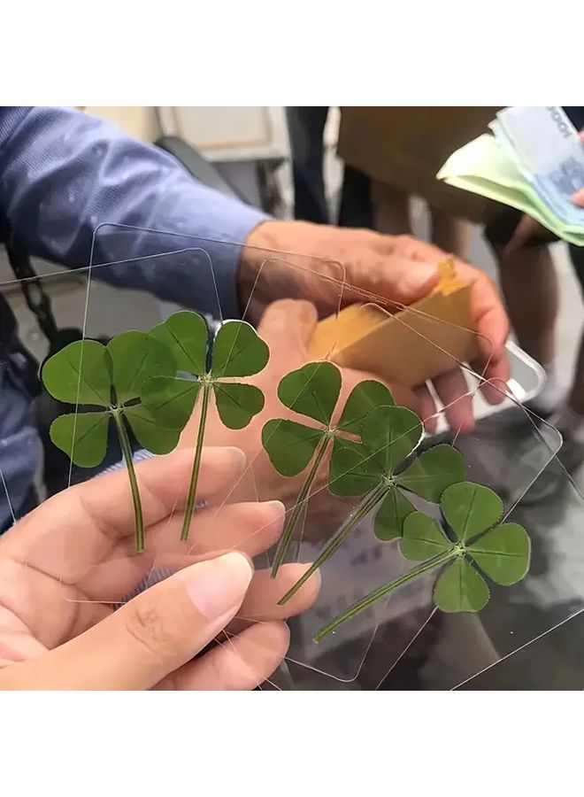 بطاقة تحية شفافة "البرسيم رباعي الأوراق المحظوظ" مع ساق برسيم حقيقي - Image 4