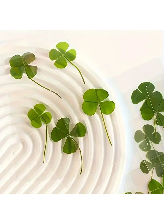 بطاقة تحية شفافة "البرسيم رباعي الأوراق المحظوظ" مع ساق برسيم حقيقي - Image 5