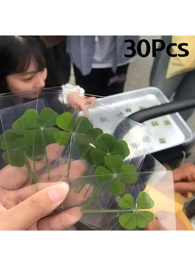 بطاقة تحية شفافة "البرسيم رباعي الأوراق المحظوظ" مع ساق برسيم حقيقي - Image 1