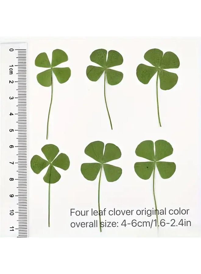 بطاقة تحية شفافة "البرسيم رباعي الأوراق المحظوظ" مع ساق برسيم حقيقي - Image 3