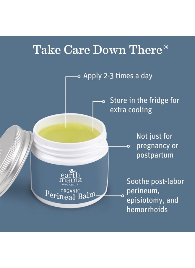 Earth Mama - Organic Perineal Balm | Naturally Cooling Herbal Salve for Pregnancy and Postpartum Relief with Witch Hazel & Calendula, Feminine Care Essentials, Benzocaine & Butane Free, 2-Fluid Ounce - Image 1