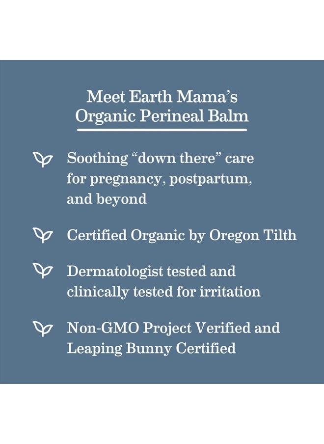 Earth Mama - Organic Perineal Balm | Naturally Cooling Herbal Salve for Pregnancy and Postpartum Relief with Witch Hazel & Calendula, Feminine Care Essentials, Benzocaine & Butane Free, 2-Fluid Ounce - Image 1