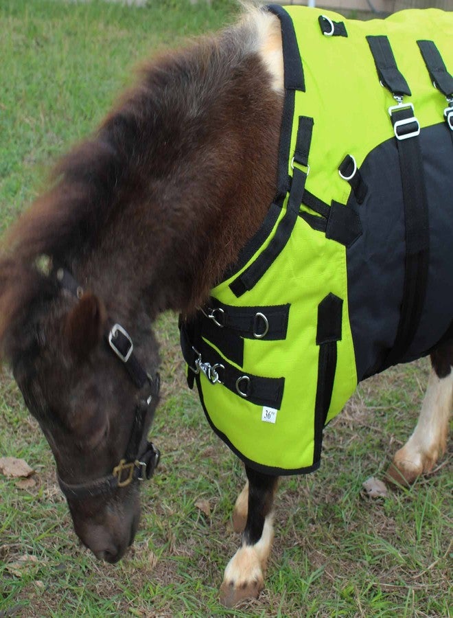Challenger 46" 1200D Miniature Weanling Donkey Pony Horse Foal Winter Blanket 51975LG - Image 3