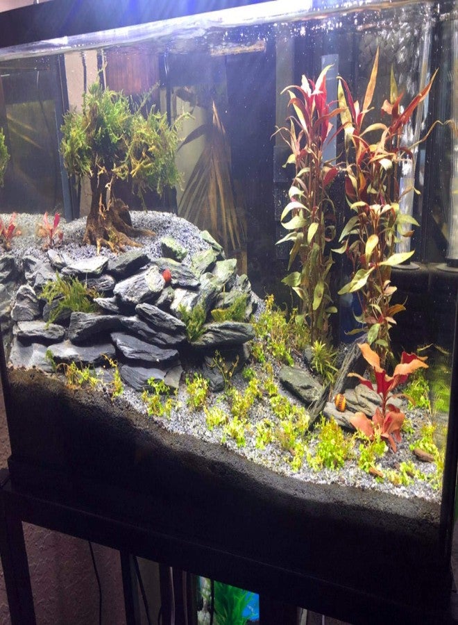Voulosimi Natural Slate Rocks PH Neutral Stone Perfect Rocks for Aquariums, Landscaping Model,Tank Decoration,Amphibian Enclosures (7.5 LB, 1-3 inch) - Image 5