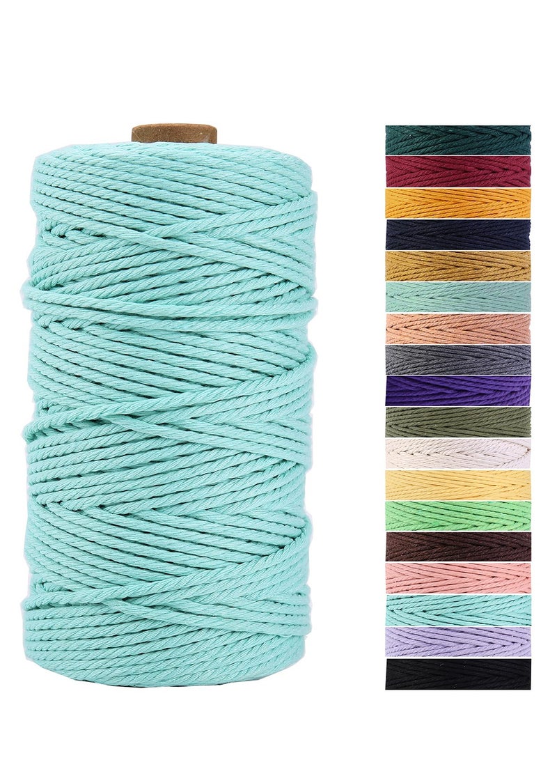 Zikra Light Blue Macrame Cord 3mm x 109 Yards, Colored Cotton Rope Craft Cord Colorful Cotton Cord Twine for Wall Hanging Plant Hangers Crafts Knitting Decorative Projects - Image 1
