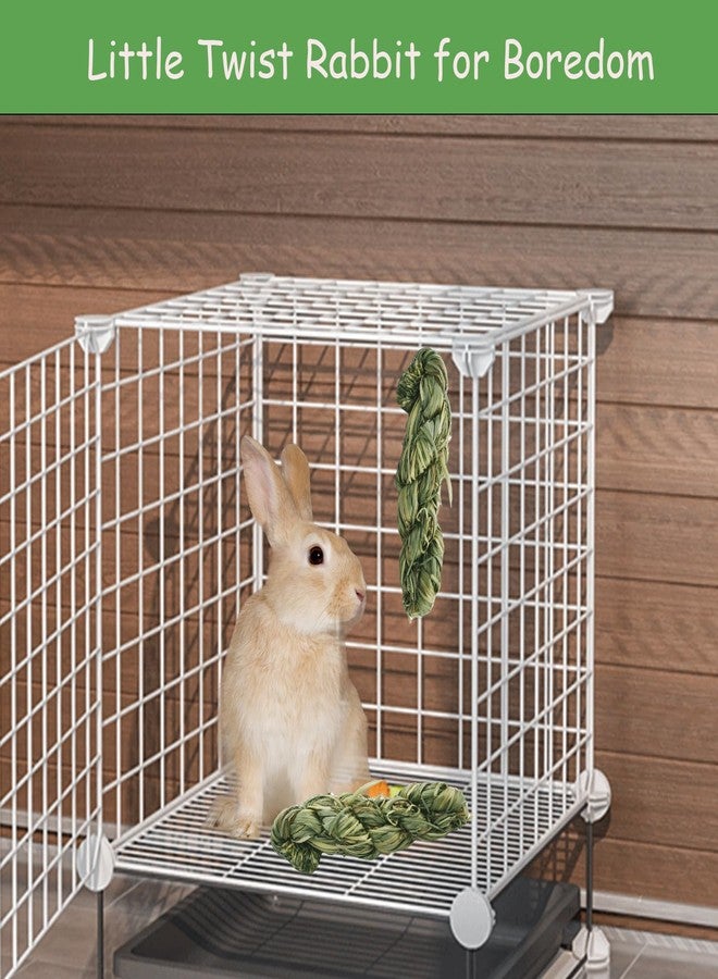 MUYG MYUG Rabbit Timothy Hay Sticks,12 PCS Bunny Chew Toys Molar Teeth Small Animals Natural Grass Braided Snacks for Guinea Pigs Chinchillas Hamsters and Other Rodents - Image 3