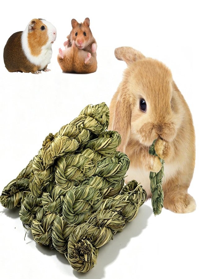MUYG MYUG Rabbit Timothy Hay Sticks,12 PCS Bunny Chew Toys Molar Teeth Small Animals Natural Grass Braided Snacks for Guinea Pigs Chinchillas Hamsters and Other Rodents - Image 1