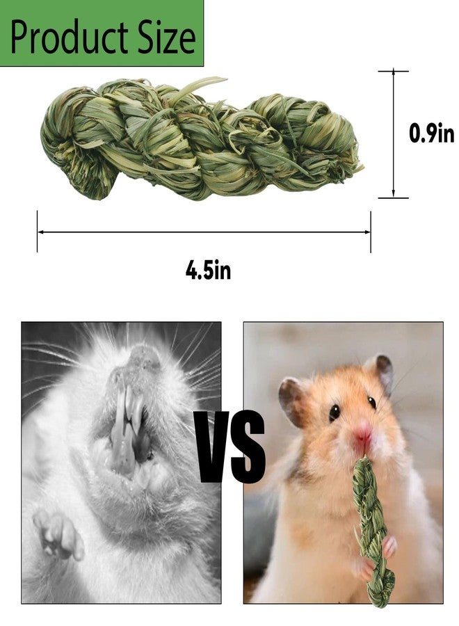 MUYG MYUG Rabbit Timothy Hay Sticks,12 PCS Bunny Chew Toys Molar Teeth Small Animals Natural Grass Braided Snacks for Guinea Pigs Chinchillas Hamsters and Other Rodents - Image 2