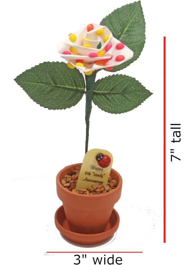 JustPaperRoses - 6th Wedding Anniversary Candy Rose - Multicolor - 7-inch Desk DÃ©cor - Single Rose in Terra Cotta Pot - Romantic Gift for Her - Image 2