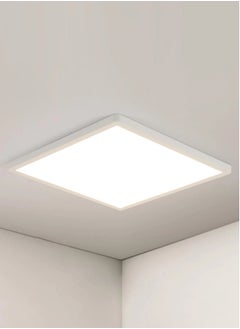 White-2