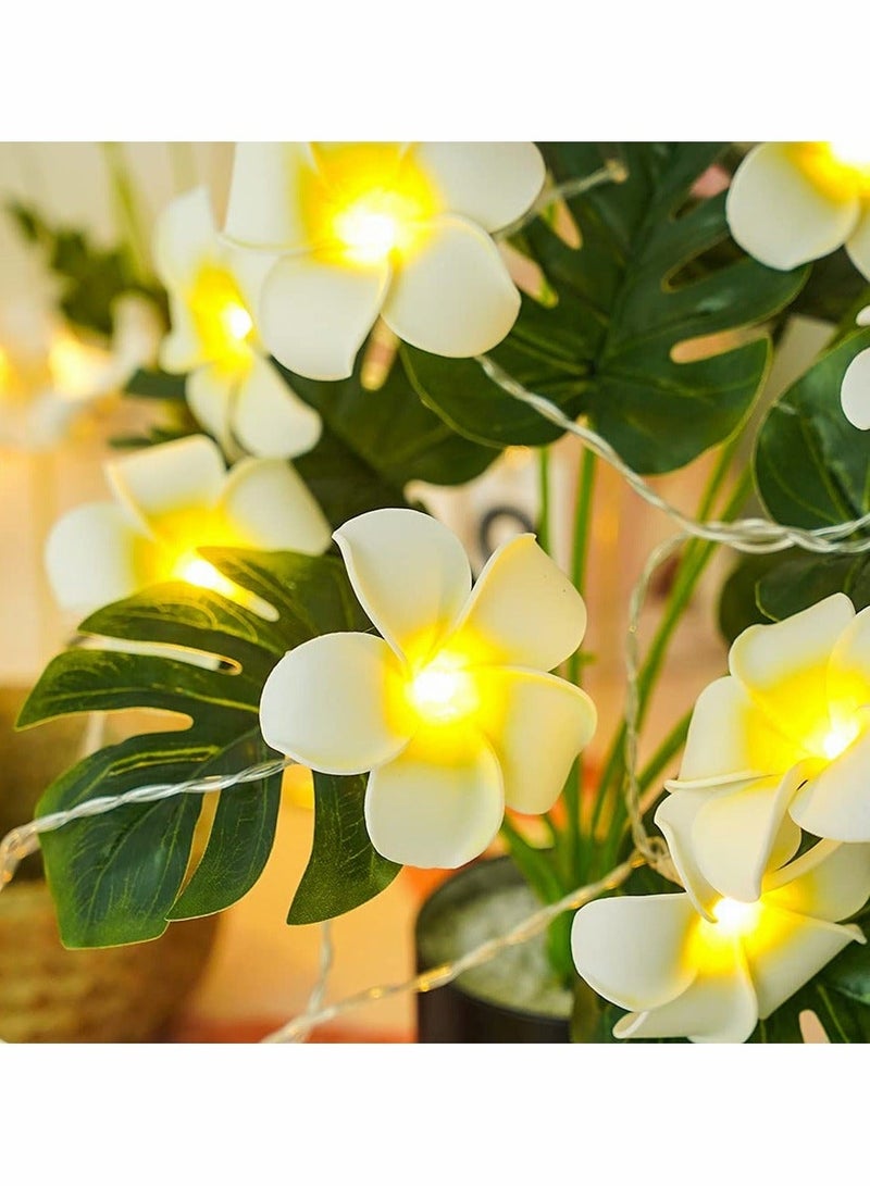 LED Artificial Plumeria Flower String Lights Hawaiian Foam Light 3AA USB Powered Fairy for Bedroom Birthday Wedding Beach Party