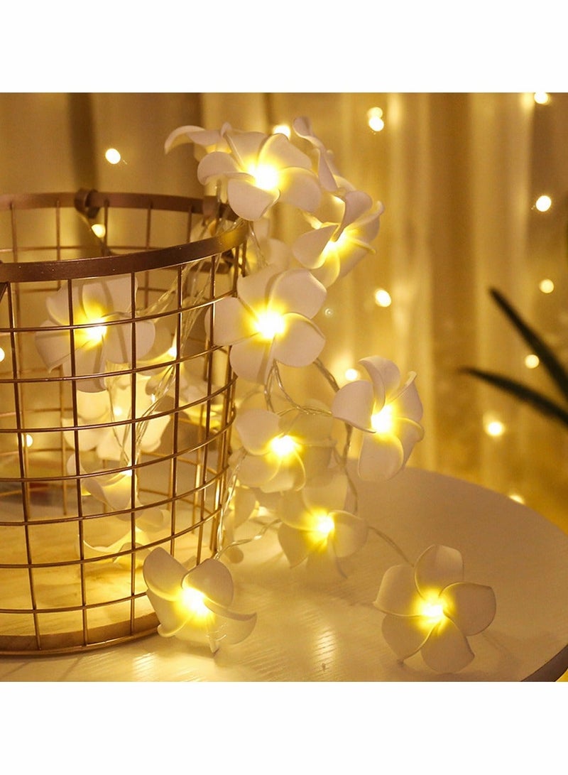 LED Artificial Plumeria Flower String Lights Hawaiian Foam Light 3AA USB Powered Fairy for Bedroom Birthday Wedding Beach Party